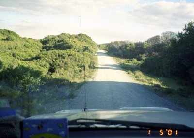 Road down to Arthur river.